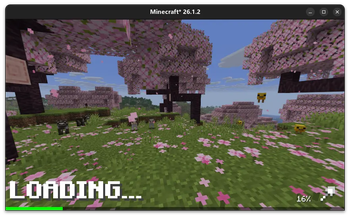 World-loading screen