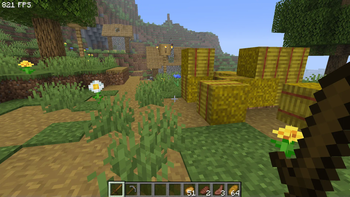 Village
