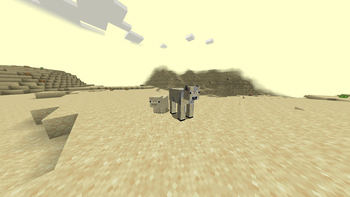 Sand Pig and Cow