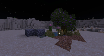 An oasis