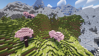 Baked Blocks