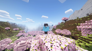 Baked Blocks