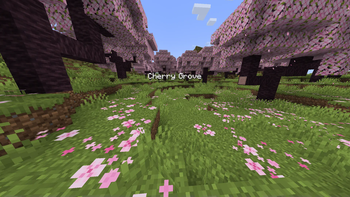 Baked Blocks