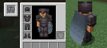 Elytra Slot!