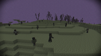Zombies in the end roaming