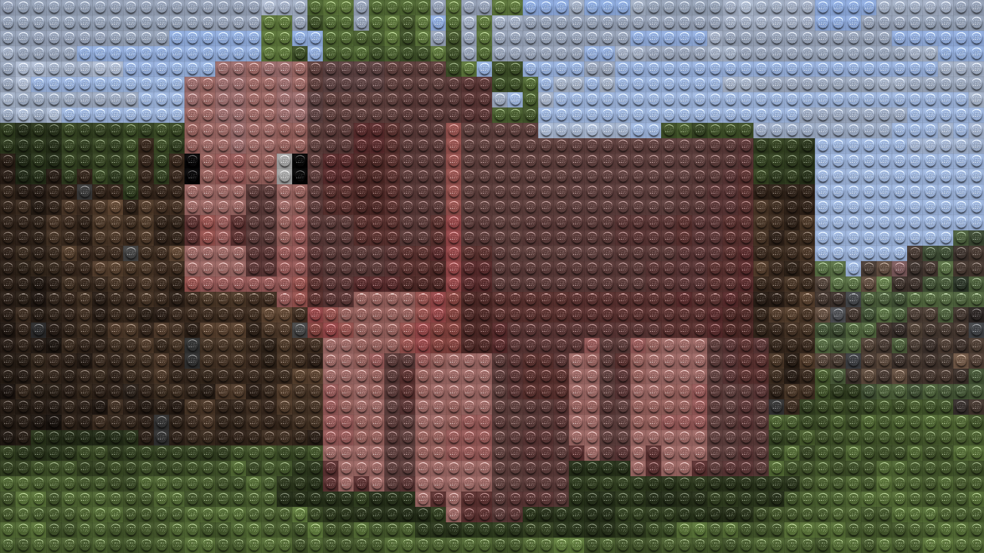 pig
