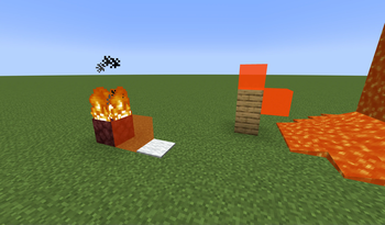 Visualisation
