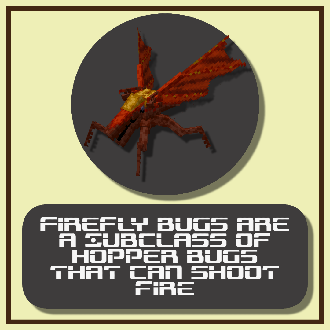 Firefly Bug
