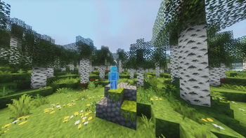 Basic showcase 