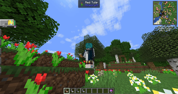 Model in 3th person