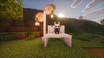 The Knight
