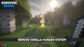 Hunger System