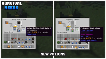 New Potions