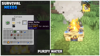 Purify Water