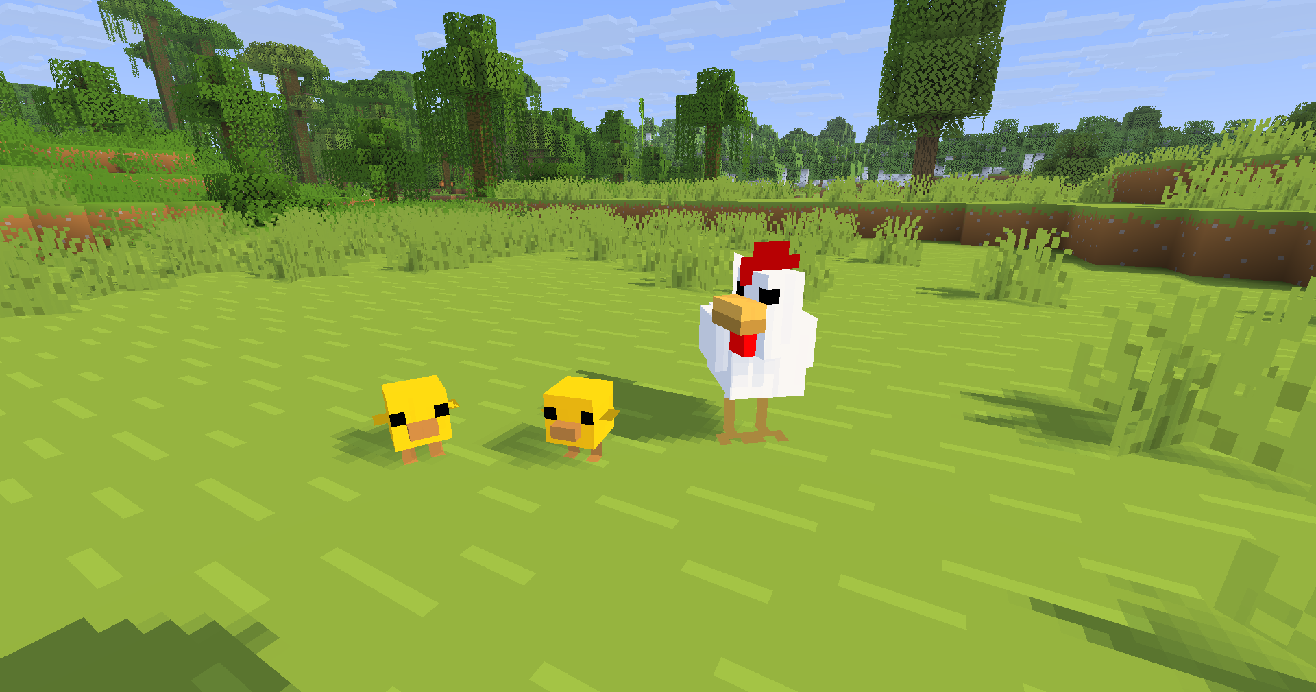 new baby chicken models