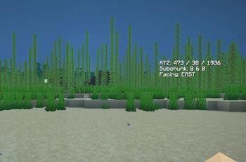 SimpleCoords Hud Preview