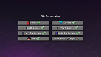 Skin Customization