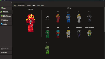 Player skins