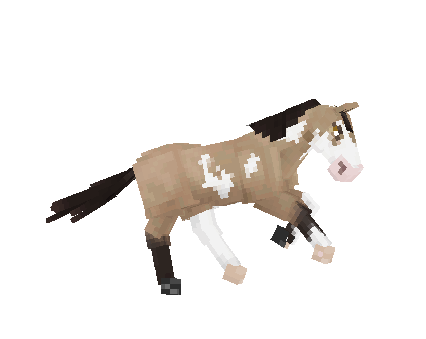 Version 1.5 Extended Canter