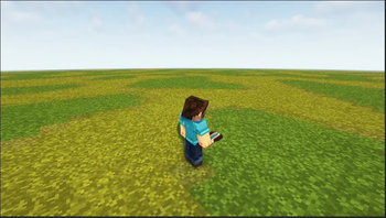Elytra texture without cape(Follower's)