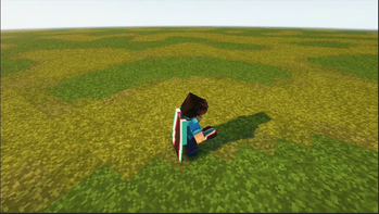 Elytra texture without cape(Follower's)