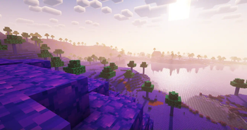 Blueberries With Shaders