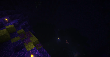 Blueberry Caves