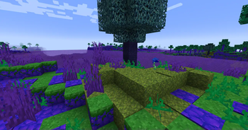 Bububerry Tree