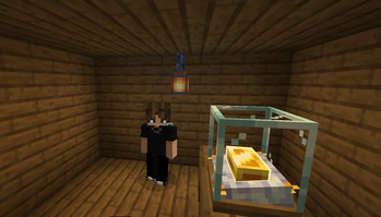 3D Player Skins looks so cool