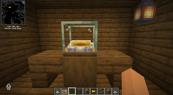 3D Items and Great Player Animations!