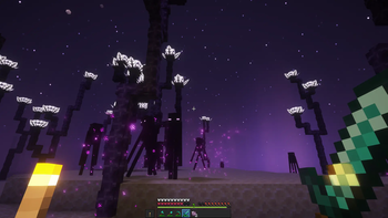 Endless End