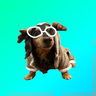 Gefus