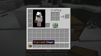 A Carry On Chest