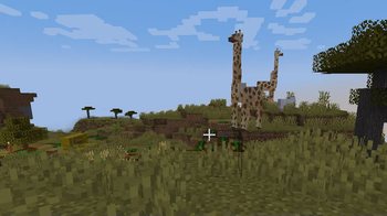 Giraffes next to a Savanah Village