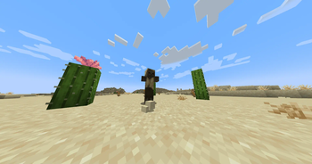 Husks Drop Sand upon Death