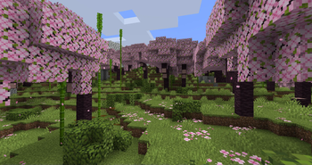 Larger Overworld Biomes!