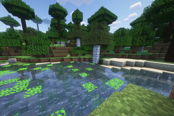 Forest River