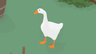 Goose Origin