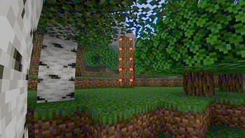 what a oak