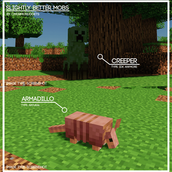 SBM Creeper and Armadillo