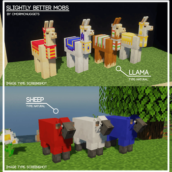SBM Llama and Sheep.