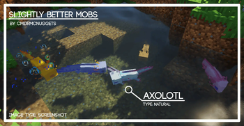 SBM Axolotl2