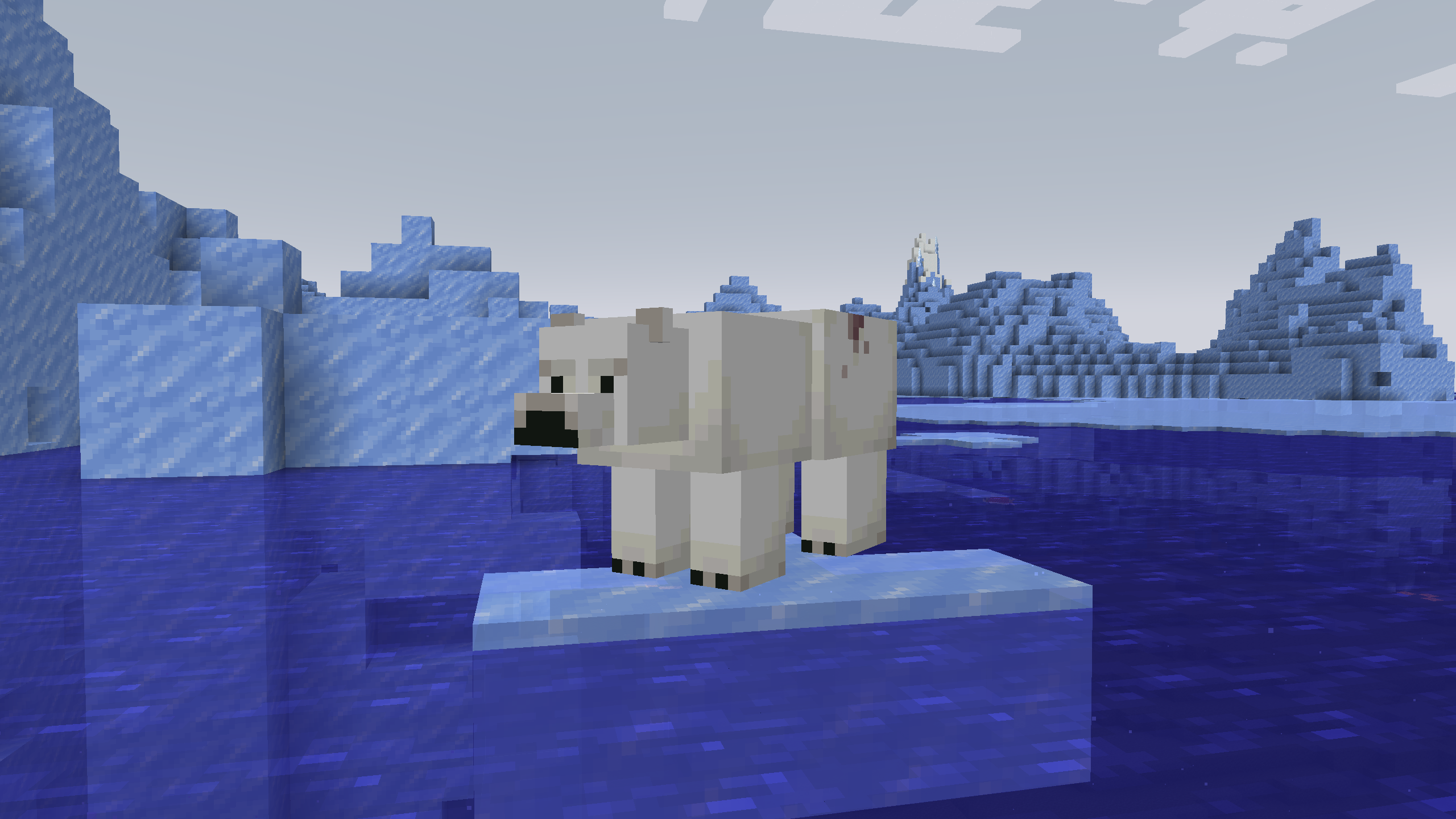 Injured Polar Bear