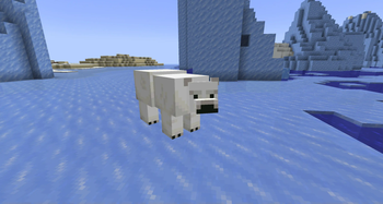 Ragged Polar Bear