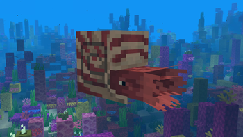 The Nautilus