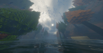 Rain's beauty
