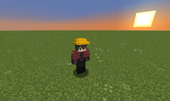 architect_hat