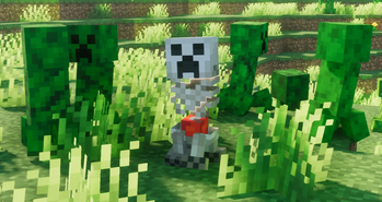 Skeleton