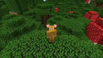 Brown Mouse Transfur