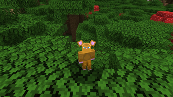 shrunk brown mouse transfur